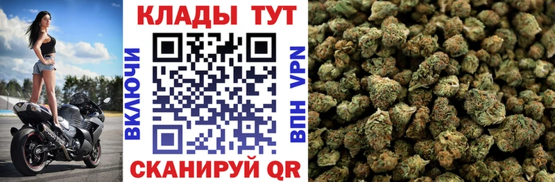 Виды наркотиков купить Белокуриха Cocaine Меф Гашиш мега зеркало Каннабис