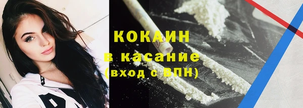 прущие грибы Армянск