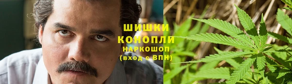 прущие грибы Армянск