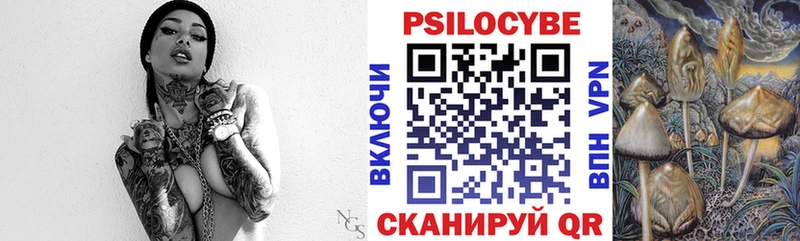 Псилоцибиновые грибы Psilocybe Белокуриха